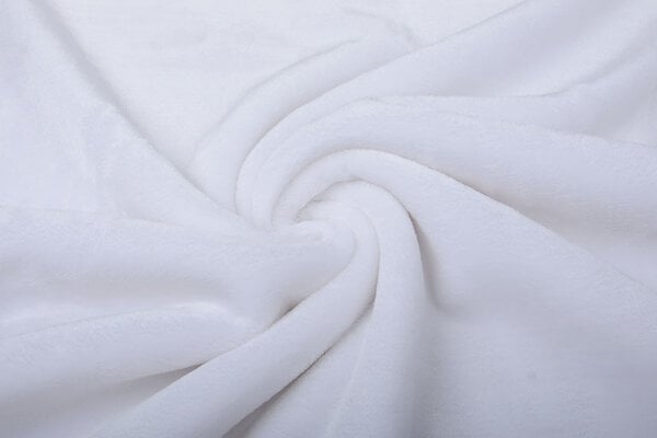 Kortharige Teddy Bont Wit Kortharige Teddy Bont Wit