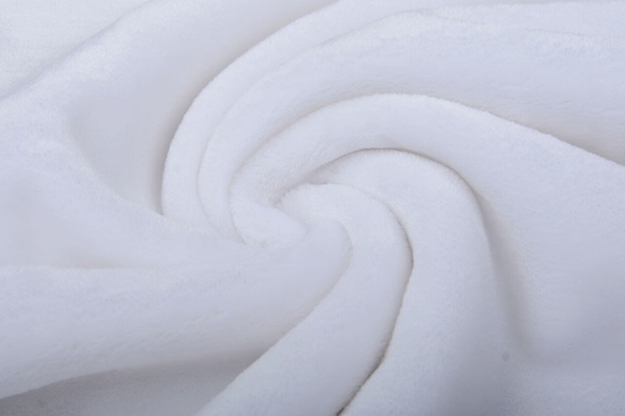 Kortharige Teddy Bont Wit Kortharige Teddy Bont Wit