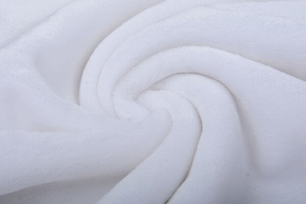 Kortharige Teddy Bont Wit Kortharige Teddy Bont Wit