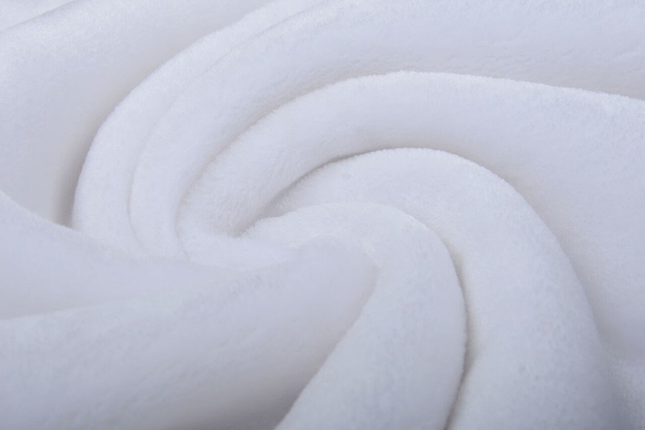 Kortharige Teddy Bont Wit Kortharige Teddy Bont Wit