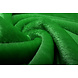 À Poil Court Teddy Fourrure Vert Gazon À Poil Court Teddy Fourrure Vert Gazon