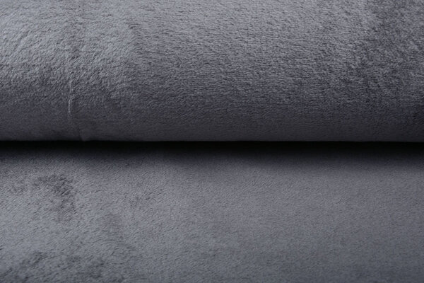 Kortharige Teddy Bont Donker grijs Kortharige Teddy Bont Donker grijs