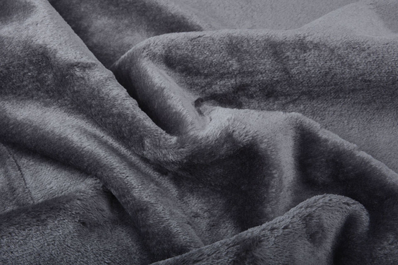 Kortharige Teddy Bont Donker grijs Kortharige Teddy Bont Donker grijs