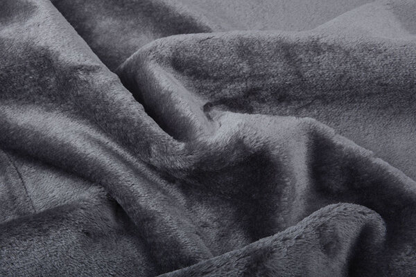 Kortharige Teddy Bont Donker grijs Kortharige Teddy Bont Donker grijs