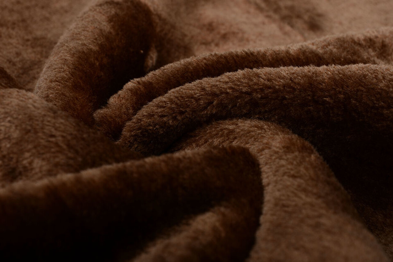 Kortharige Teddy Bont Donker Bruin Kortharige Teddy Bont Donker Bruin