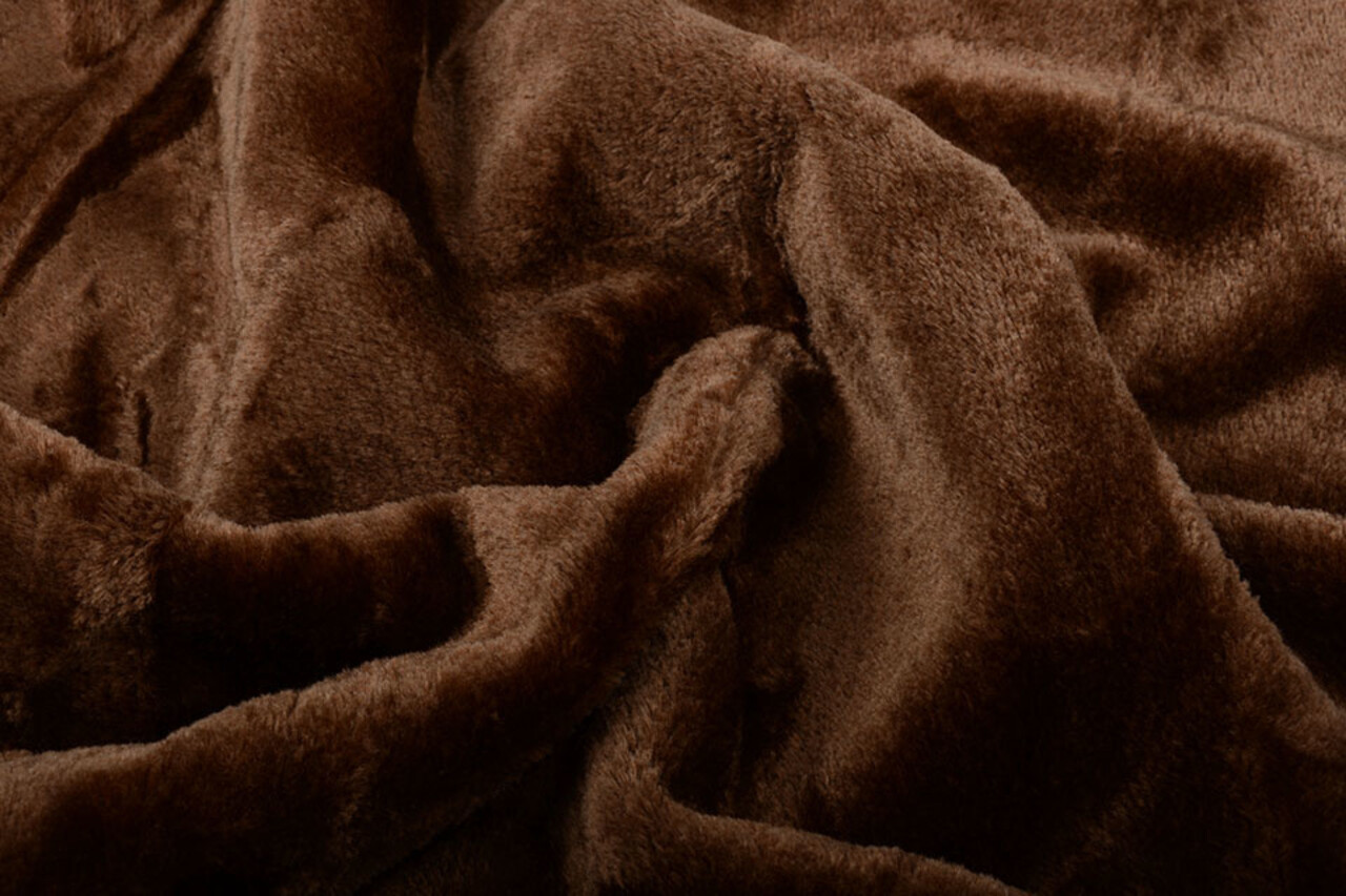 Kortharige Teddy Bont Donker Bruin Kortharige Teddy Bont Donker Bruin