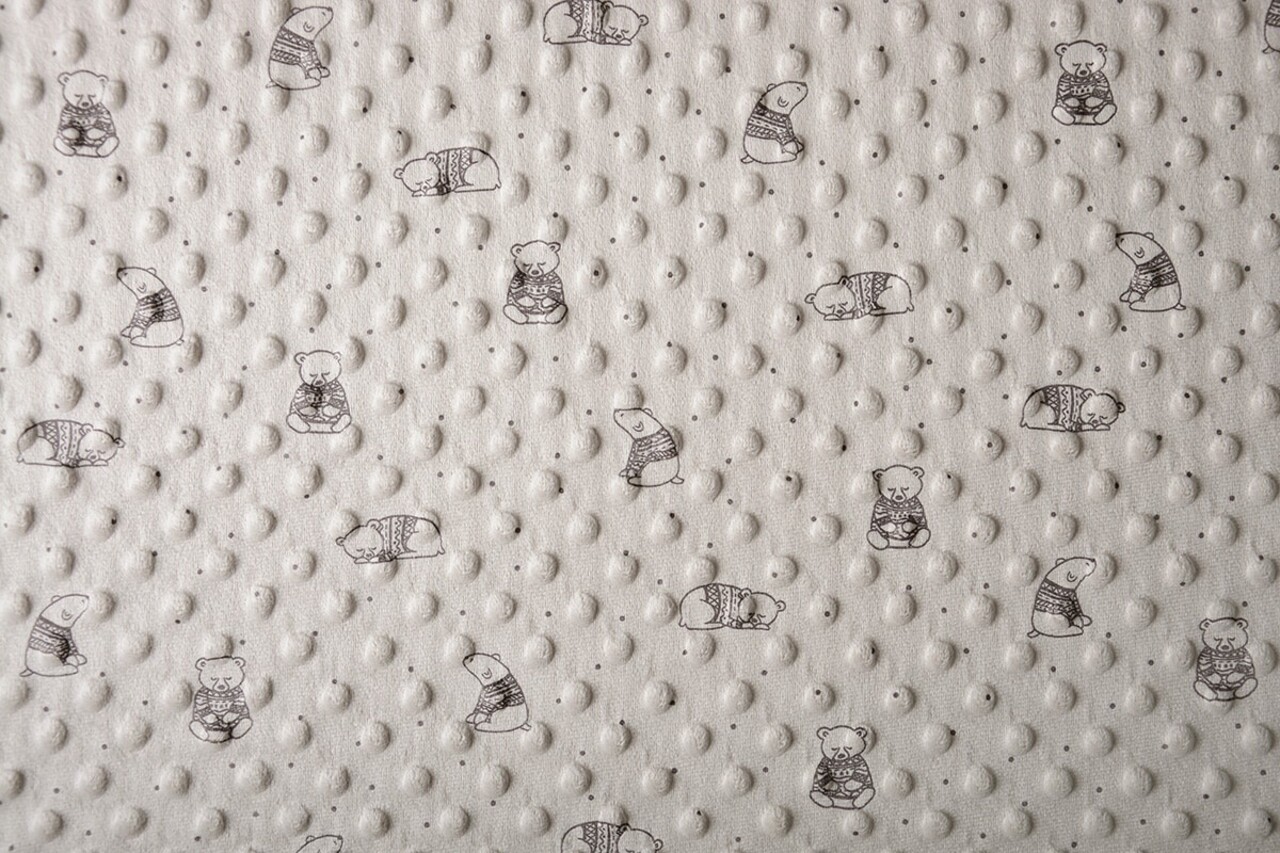 Bär Minky-Fleece Beige