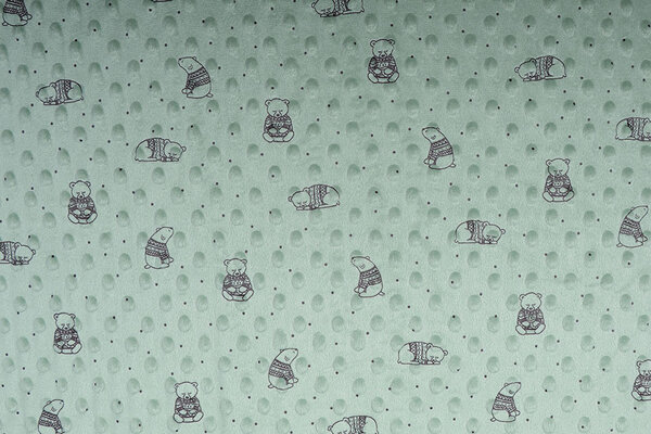 Beer Minky Fleece Licht Oud Groen