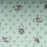 Beer Minky Fleece Licht Oud Groen Beer Minky Fleece Licht Oud Groen