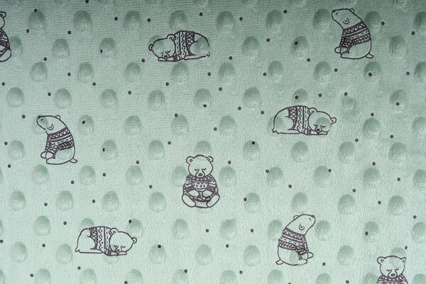 Bear Minky Fleece Light Old Green Bear Minky Fleece Light Old Green