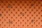 Hedgehog Minky Fleece Orange Brique Hedgehog Minky Fleece Orange Brique