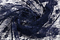 Pizzo Ziedi Blu Navy Pizzo Ziedi Blu Navy