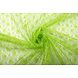 Pizzo Ziedi Verde Lime Pizzo Ziedi Verde Lime