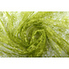 Pizzo Ziedi Mos Verde
