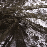 Pizzo Ziedi Marrone Scuro Pizzo Ziedi Marrone Scuro