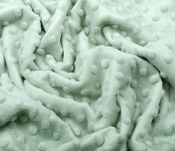 Minky Fleece Light Old Green