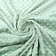 Minky Fleece Light Old Green