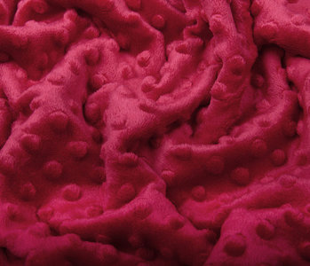 Minky Fleece Red