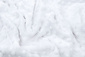 Minky Fleece White Minky Fleece White