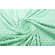 Minky Polar Menta Verde