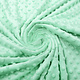 Minky Fleece Mint Green