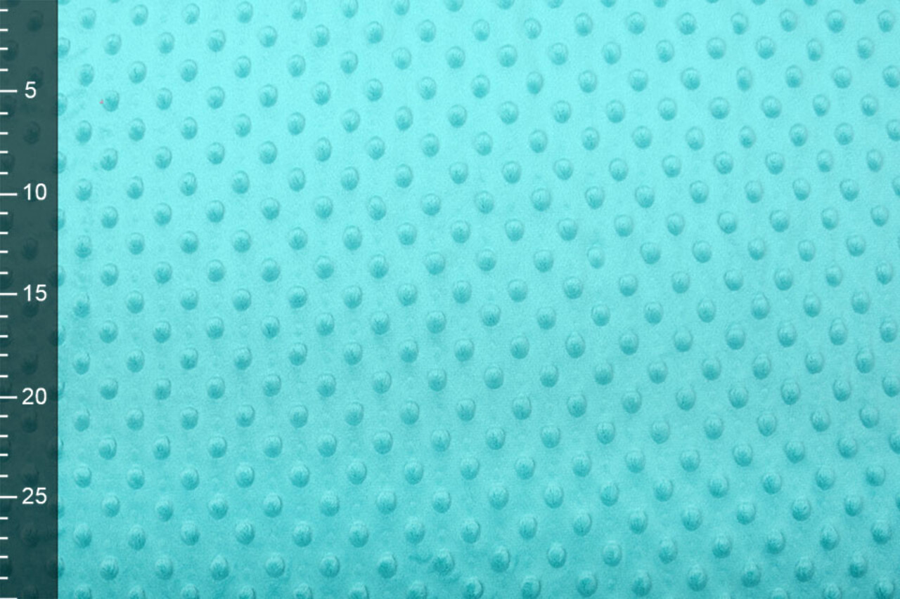 Minky Fleece Aqua