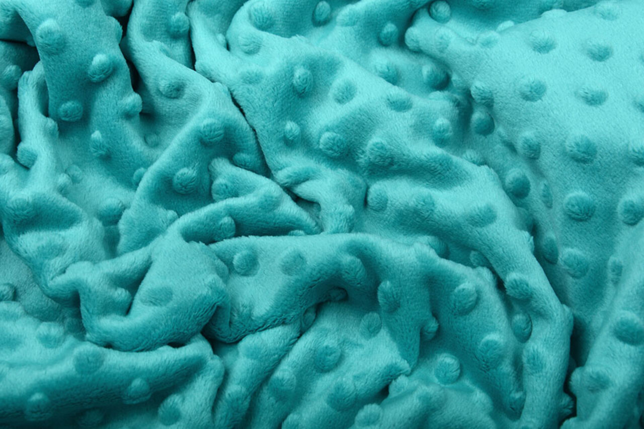 Minky Fleece Aqua