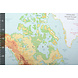 Digitale Paneel Stretch Cotone Wereldkaart Verde Antico