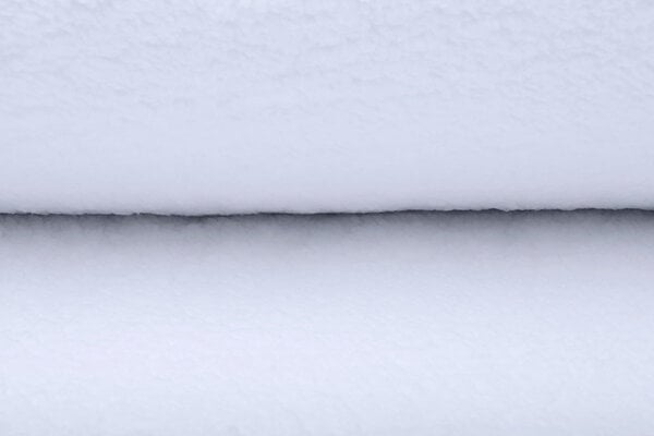 Teddy White Teddy White