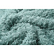 Fancy Bouclé Vert Ancien Fancy Bouclé Vert Ancien