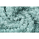 Fancy Bouclé Vert Ancien Fancy Bouclé Vert Ancien