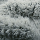 Long Hairy Fur Furpi-2-Tone Grey