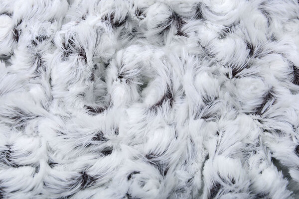 Kurz Zottelplüsch Roses-2-Tone Aubergine Weiß