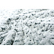 Court à Poils Longs Fourrure Roses-2-Tone Vert Blanc Court à Poils Longs Fourrure Roses-2-Tone Vert Blanc