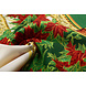Tessuto Natalizio Kerstster Verde Tessuto Natalizio Kerstster Verde