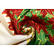 Tessuto Natalizio Kerstster Verde Tessuto Natalizio Kerstster Verde