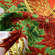 Christmas Fabric Poinsettia Red