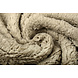 Teddy Tela Beige Oscuro Teddy Tela Beige Oscuro