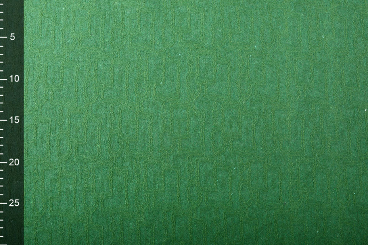 Lined Wool Lace Blocco Green Lined Wool Lace Blocco Green