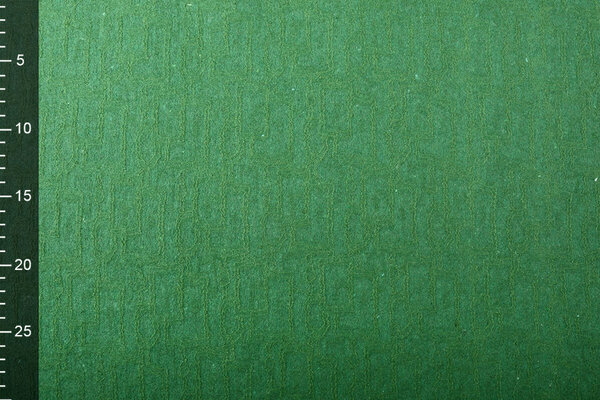 Lined Wool Lace Blocco Green Lined Wool Lace Blocco Green