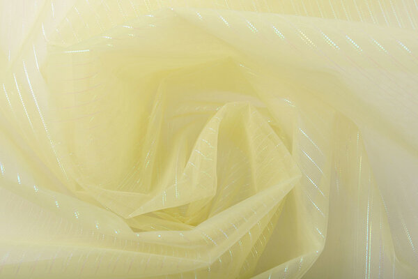 Organza Printed Stripes Light Gold