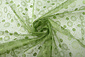 Organza Bedrukt Stippen Groen
