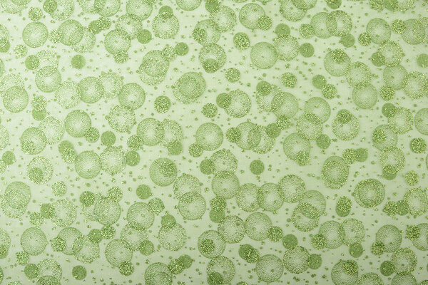 Organza Bedrukt Stippen Groen