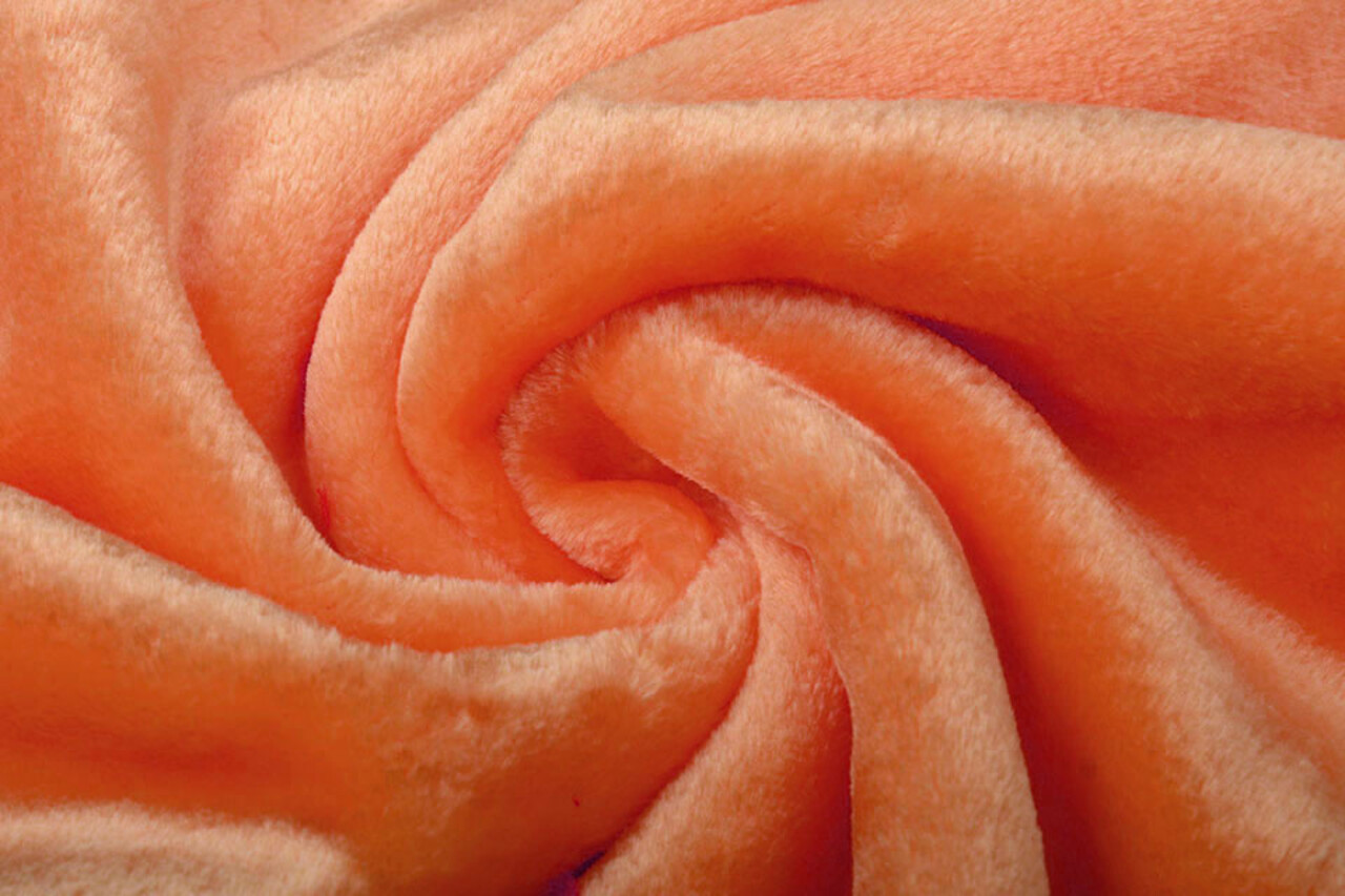 Short-haired Teddy Fur Orange Short-haired Teddy Fur Orange