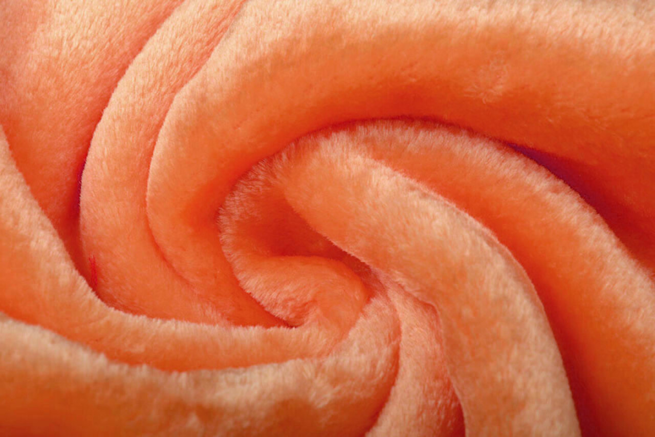 Pelo Teddy de Pelo Corto Naranja Pelo Teddy de Pelo Corto Naranja