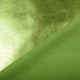 Lamé Light Moss Green Lamé Light Moss Green