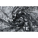 Brodé Dentelle Louisa Gris Argent Brodé Dentelle Louisa Gris Argent