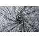Brodé Dentelle Louisa Gris Argent Brodé Dentelle Louisa Gris Argent