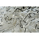 Mesh Ricamato Victoria Crema Nero Mesh Ricamato Victoria Crema Nero