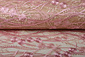Mesh Embroidered Victoria Pink Mesh Embroidered Victoria Pink